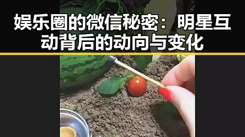 娱乐圈的微信秘密:明星互动背后的动向与变化