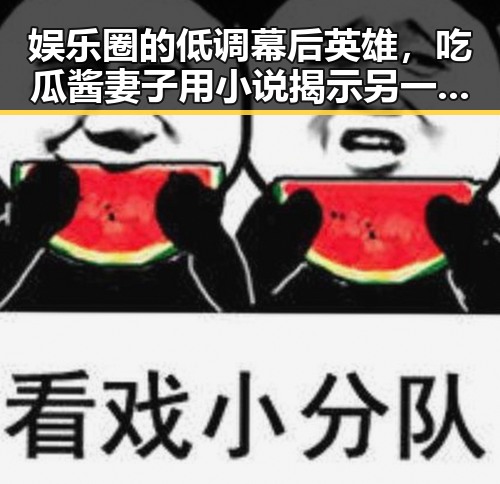 娱乐圈的低调幕后英雄,吃瓜酱妻子用小说揭示另一面✨